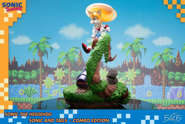 Sonic the Hedgehog – Sonic and Tails Combo Edition (s_t_combo_37.jpg)