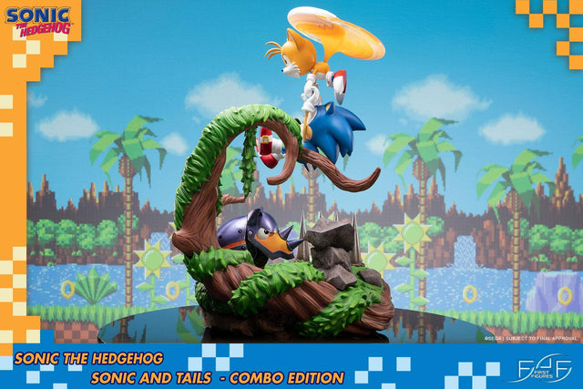 Sonic the Hedgehog – Sonic and Tails Combo Edition (s_t_combo_38.jpg)