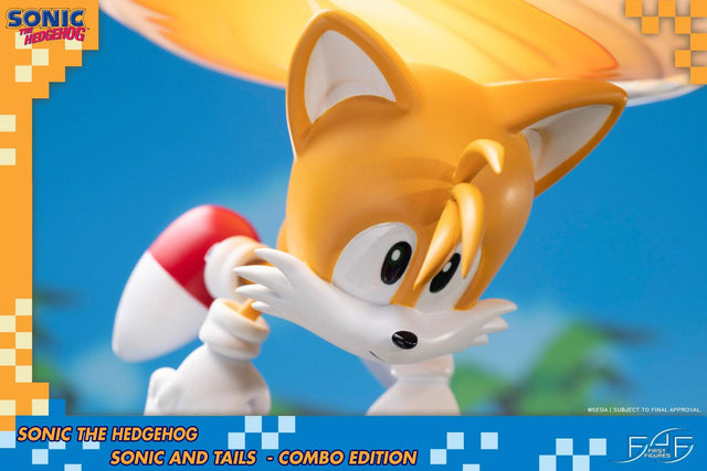 Sonic the Hedgehog – Sonic and Tails Combo Edition (s_t_combo_50.jpg)