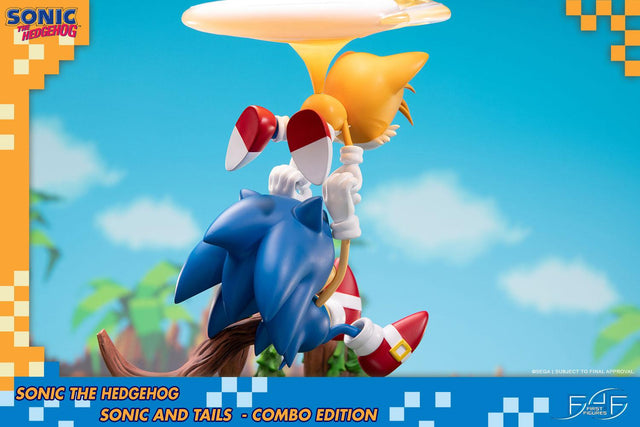 Sonic the Hedgehog – Sonic and Tails Combo Edition (s_t_combo_58.jpg)