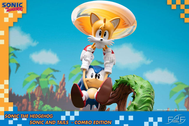 Sonic the Hedgehog – Sonic and Tails Combo Edition (s_t_combo_59.jpg)