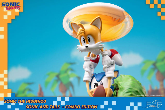Sonic the Hedgehog – Sonic and Tails Combo Edition (s_t_combo_60.jpg)