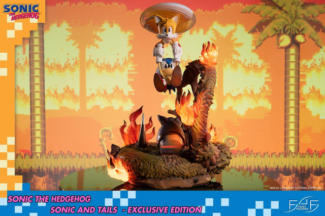 Sonic the Hedgehog – Sonic and Tails Exclusive Edition (s_t_exc_h09.jpg)