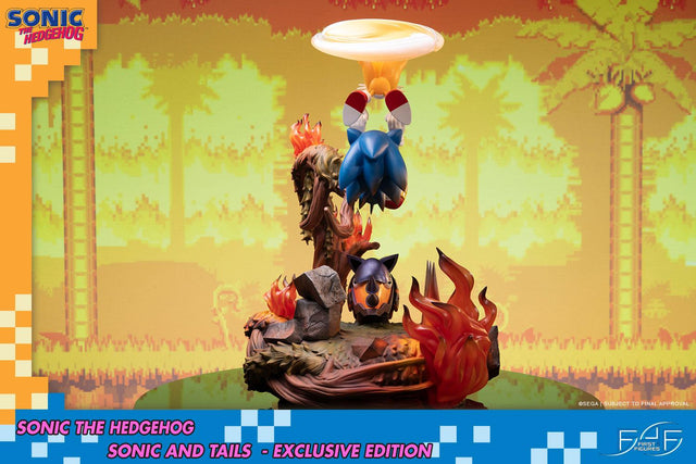 Sonic the Hedgehog – Sonic and Tails Exclusive Edition (s_t_exc_h13.jpg)