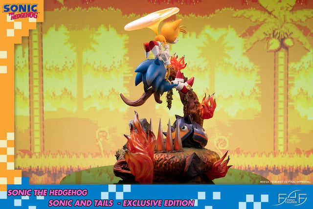 Sonic the Hedgehog – Sonic and Tails Exclusive Edition (s_t_exc_h14.jpg)
