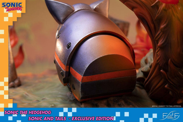 Sonic the Hedgehog – Sonic and Tails Exclusive Edition (s_t_exc_h24.jpg)