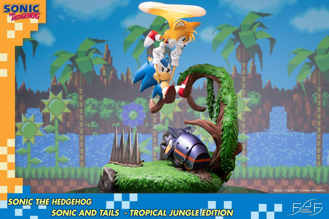 Sonic the Hedgehog – Sonic and Tails Tropical Jungle Edition (s_t_jungle_h10.jpg)