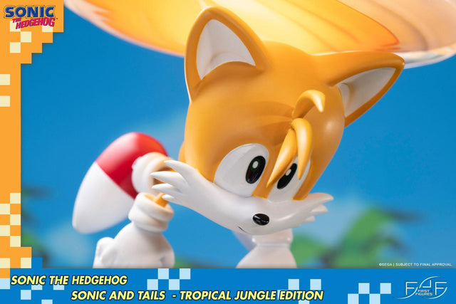 Sonic the Hedgehog – Sonic and Tails Tropical Jungle Edition (s_t_jungle_h15.jpg)