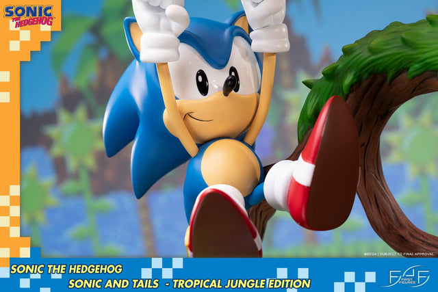 Sonic the Hedgehog – Sonic and Tails Tropical Jungle Edition (s_t_jungle_h16.jpg)
