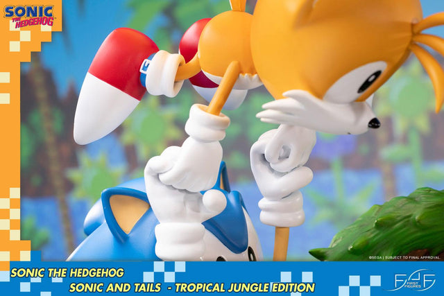 Sonic the Hedgehog – Sonic and Tails Tropical Jungle Edition (s_t_jungle_h23.jpg)