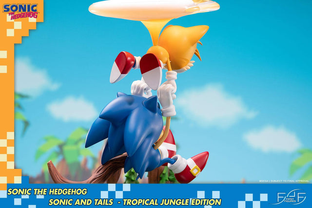 Sonic the Hedgehog – Sonic and Tails Tropical Jungle Edition (s_t_jungle_h25.jpg)