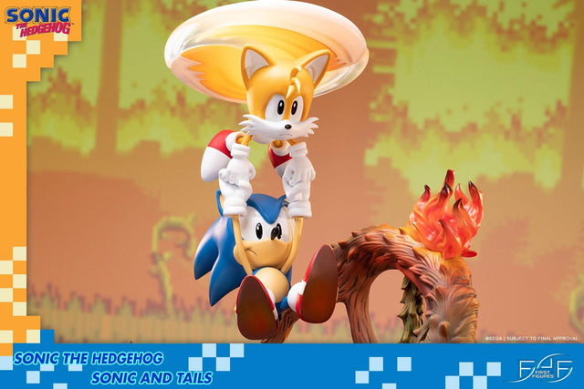 Sonic the Hedgehog – Sonic and Tails Standard Edition (s_t_stn_h01.jpg)