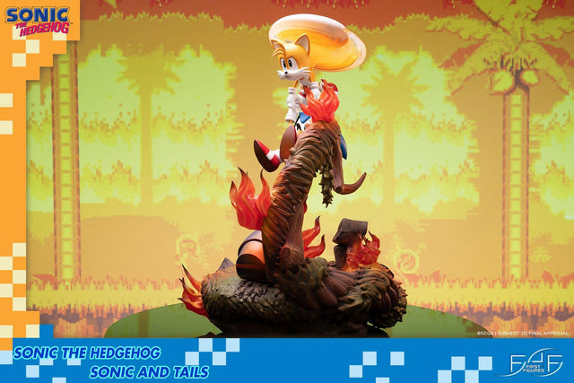 Sonic the Hedgehog – Sonic and Tails Standard Edition (s_t_stn_h02.jpg)