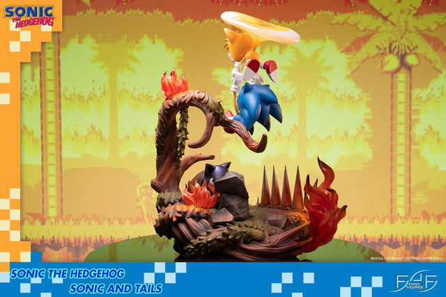 Sonic the Hedgehog – Sonic and Tails Standard Edition (s_t_stn_h04.jpg)