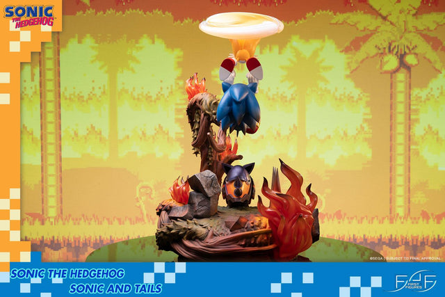 Sonic the Hedgehog – Sonic and Tails Standard Edition (s_t_stn_h05.jpg)