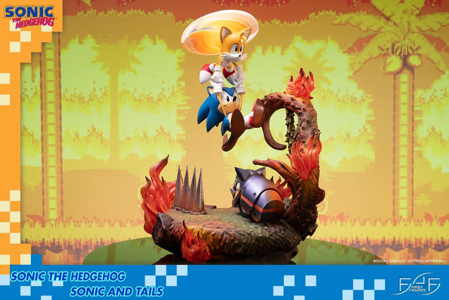 Sonic the Hedgehog – Sonic and Tails Standard Edition (s_t_stn_h08.jpg)