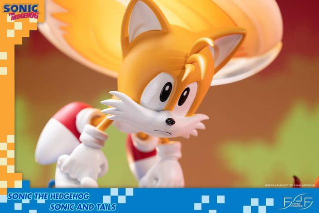 Sonic the Hedgehog – Sonic and Tails Standard Edition (s_t_stn_h10.jpg)