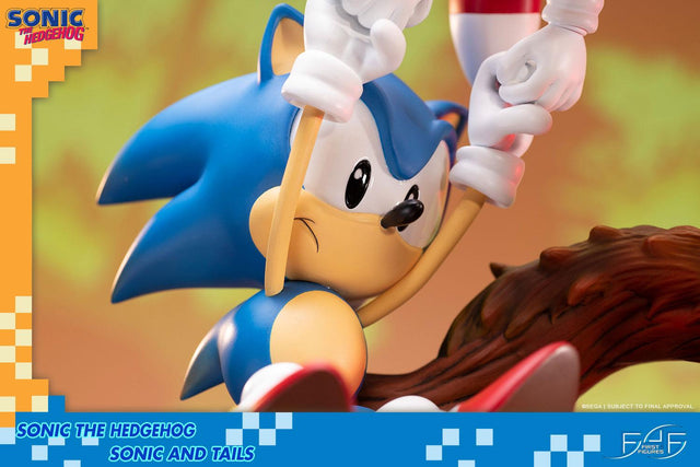 Sonic the Hedgehog – Sonic and Tails Standard Edition (s_t_stn_h11.jpg)