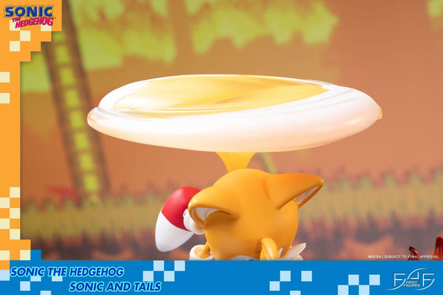 Sonic the Hedgehog – Sonic and Tails Standard Edition (s_t_stn_h12.jpg)