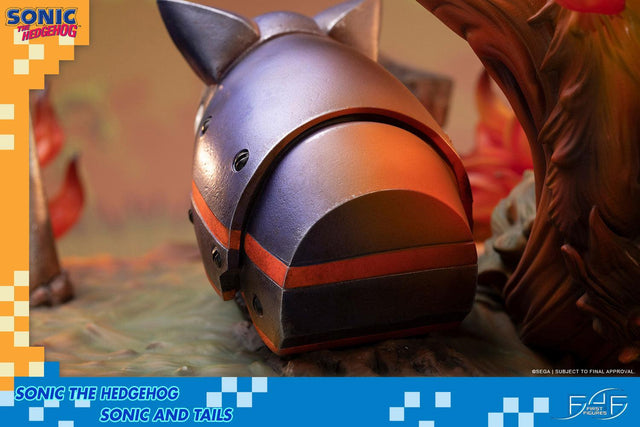 Sonic the Hedgehog – Sonic and Tails Standard Edition (s_t_stn_h15.jpg)