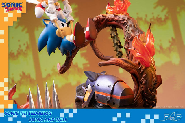 Sonic the Hedgehog – Sonic and Tails Standard Edition (s_t_stn_h18.jpg)