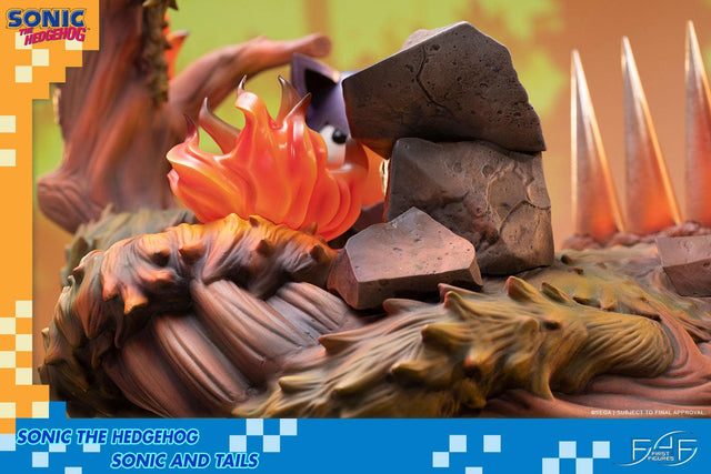 Sonic the Hedgehog – Sonic and Tails Standard Edition (s_t_stn_h19.jpg)