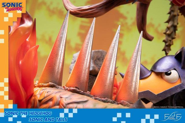 Sonic the Hedgehog – Sonic and Tails Standard Edition (s_t_stn_h20.jpg)