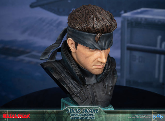 Metal Gear Solid - Solid Snake Grand-Scale Bust (Standard Edition GSB) (snakebust-gsb_st_14.jpg)