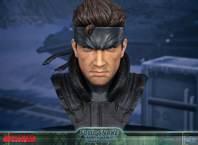 Metal Gear Solid - Solid Snake Grand-Scale Bust (Standard Edition GSB) (snakebust-gsb_st_16.jpg)