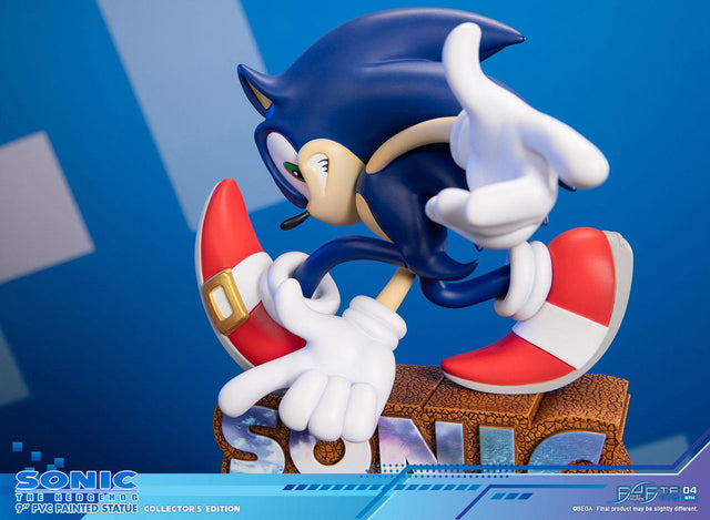 Sonic Adventure - Sonic the Hedgehog PVC (Collector's Edition) (sonicavt_ce_12.jpg)