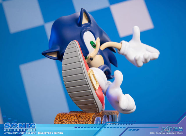 Sonic Adventure - Sonic the Hedgehog PVC (Collector's Edition) (sonicavt_ce_14.jpg)