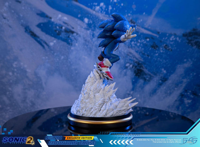 Sonic the Hedgehog 2 - Sonic Mountain Chase (Exclusive Edition) (sonicdrone_ex_03.jpg)