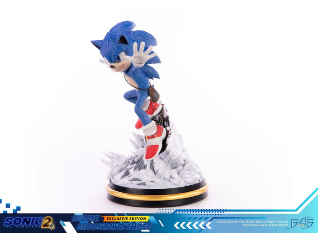 Sonic the Hedgehog 2 - Sonic Mountain Chase (Exclusive Edition) (sonicdrone_ex_26.jpg)