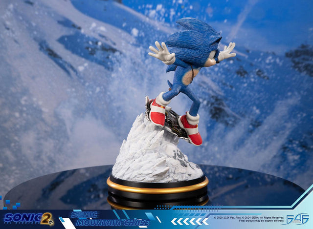 Sonic the Hedgehog 2 - Sonic Mountain Chase (sonicdrone_st_02.jpg)