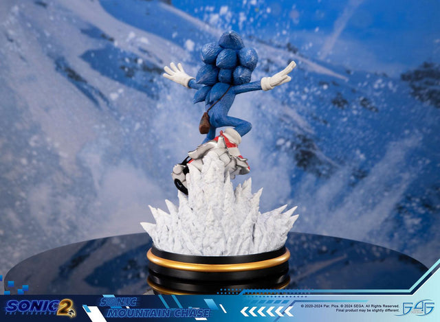 Sonic the Hedgehog 2 - Sonic Mountain Chase (sonicdrone_st_04.jpg)