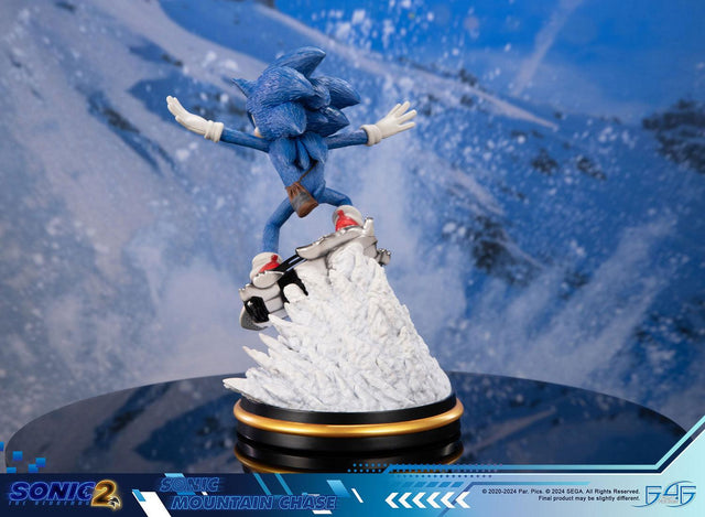 Sonic the Hedgehog 2 - Sonic Mountain Chase (sonicdrone_st_05.jpg)