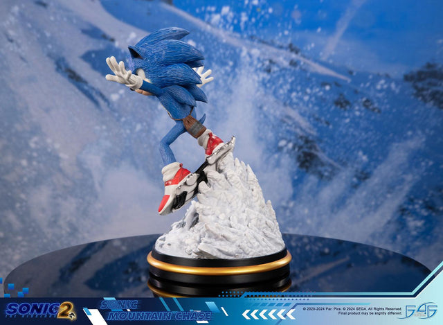 Sonic the Hedgehog 2 - Sonic Mountain Chase (sonicdrone_st_06.jpg)