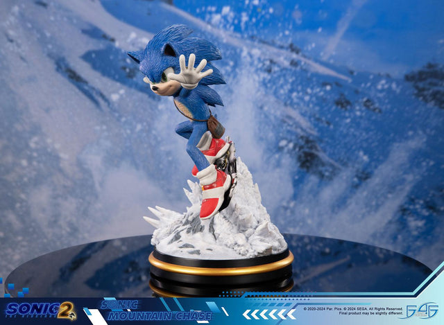 Sonic the Hedgehog 2 - Sonic Mountain Chase (sonicdrone_st_07.jpg)