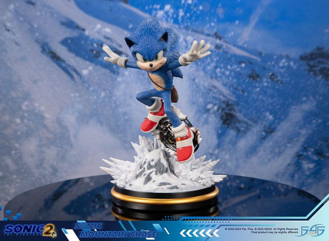 Sonic the Hedgehog 2 - Sonic Mountain Chase (sonicdrone_st_08.jpg)