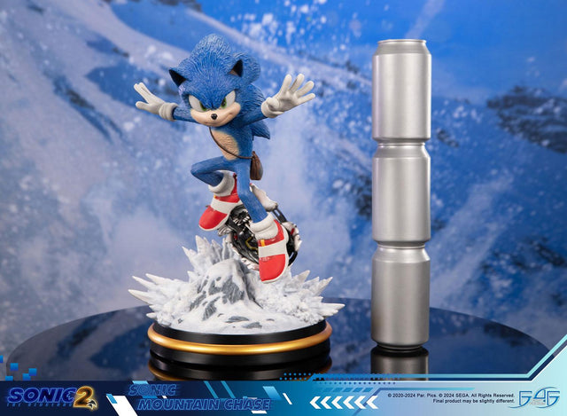 Sonic the Hedgehog 2 - Sonic Mountain Chase (sonicdrone_st_09.jpg)
