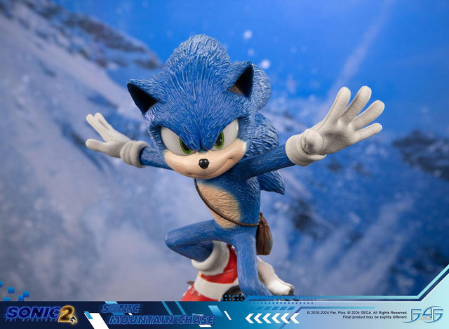 Sonic the Hedgehog 2 - Sonic Mountain Chase (sonicdrone_st_10.jpg)
