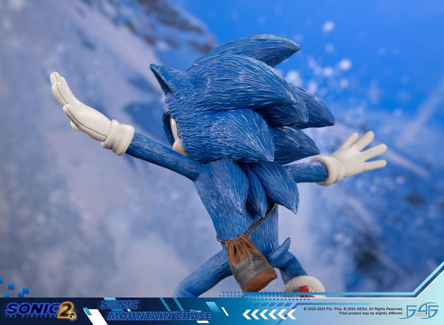 Sonic the Hedgehog 2 - Sonic Mountain Chase (sonicdrone_st_12.jpg)