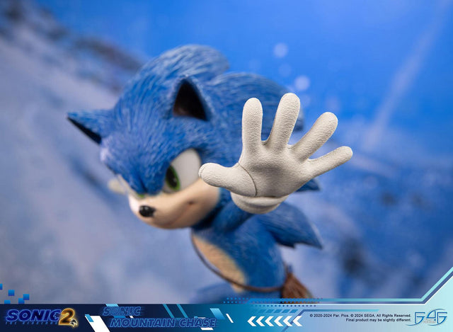 Sonic the Hedgehog 2 - Sonic Mountain Chase (sonicdrone_st_13.jpg)
