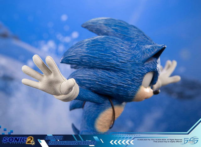 Sonic the Hedgehog 2 - Sonic Mountain Chase (sonicdrone_st_14.jpg)