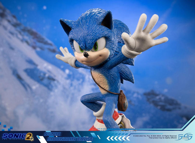 Sonic the Hedgehog 2 - Sonic Mountain Chase (sonicdrone_st_16.jpg)