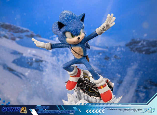 Sonic the Hedgehog 2 - Sonic Mountain Chase (sonicdrone_st_17.jpg)