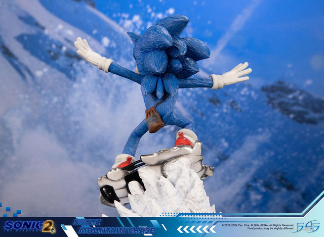 Sonic the Hedgehog 2 - Sonic Mountain Chase (sonicdrone_st_18.jpg)