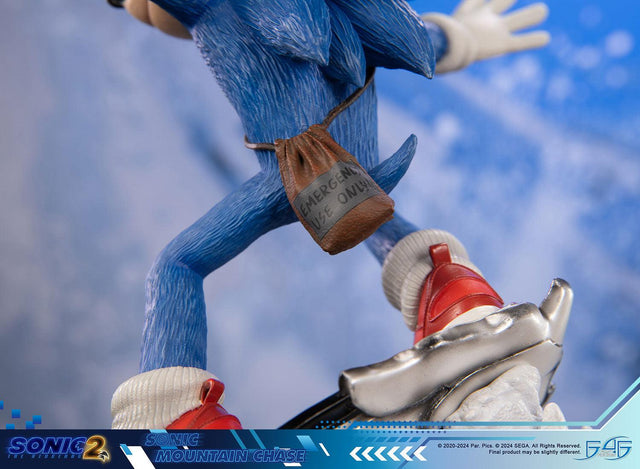 Sonic the Hedgehog 2 - Sonic Mountain Chase (sonicdrone_st_19.jpg)