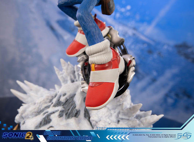 Sonic the Hedgehog 2 - Sonic Mountain Chase (sonicdrone_st_22.jpg)