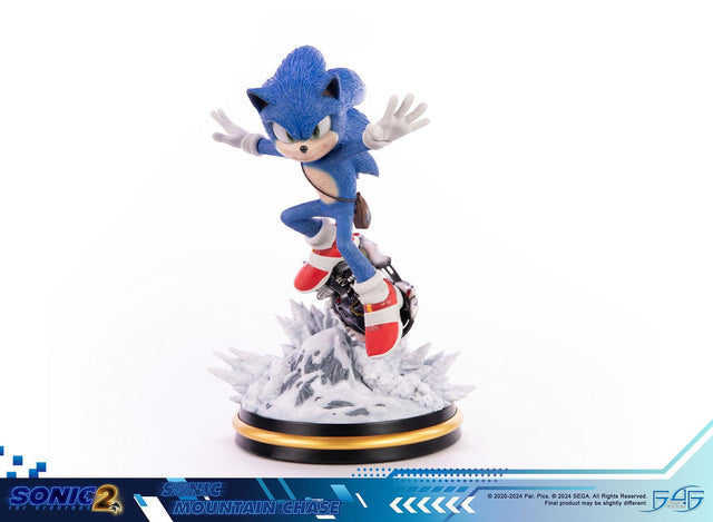 Sonic the Hedgehog 2 - Sonic Mountain Chase (sonicdrone_st_25.jpg)